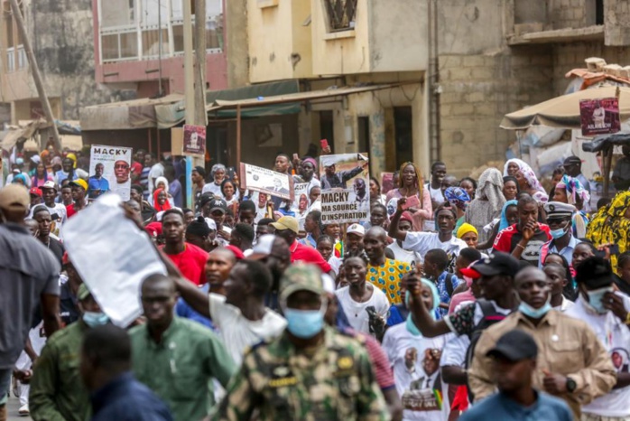 Lancement PROMOGED : Cheikh Mbacké Ndiaye salue la vision du président Macky Sall et lui renouvelle sa confiance Lancement PROMOGED : Cheikh Mbacké Ndiaye salue la vision du président Macky Sall et lui renouvelle sa confiance