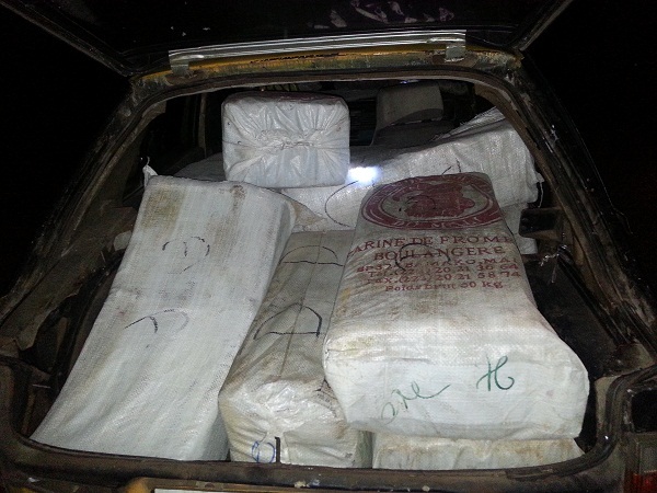 Trafic de drogue : 670 kg de chanvre indien tombent dans le filet de la Douane à Diamniadio