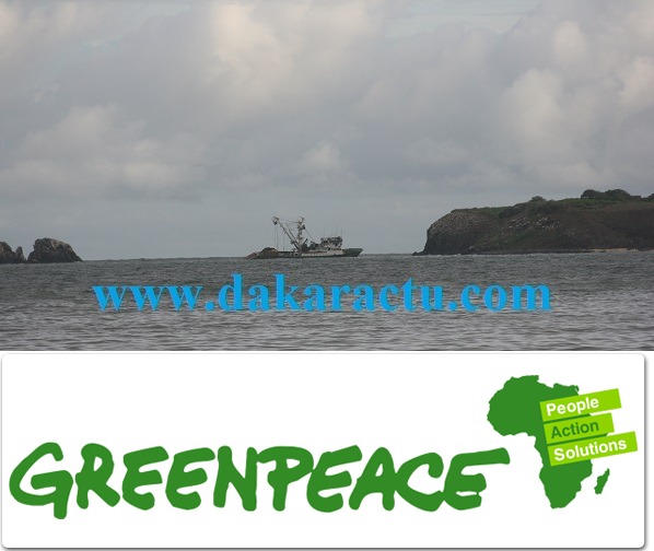 La déclaration de Greenpeace Afrique suite à l'enlisement d'un navire espagnol sur l'île Sarpent