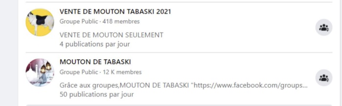 REPORTAGE - Tabaski : À Dakar, des moutons sont (aussi) vendus sur internet REPORTAGE - Tabaski : À Dakar, des moutons sont (aussi) vendus sur internet