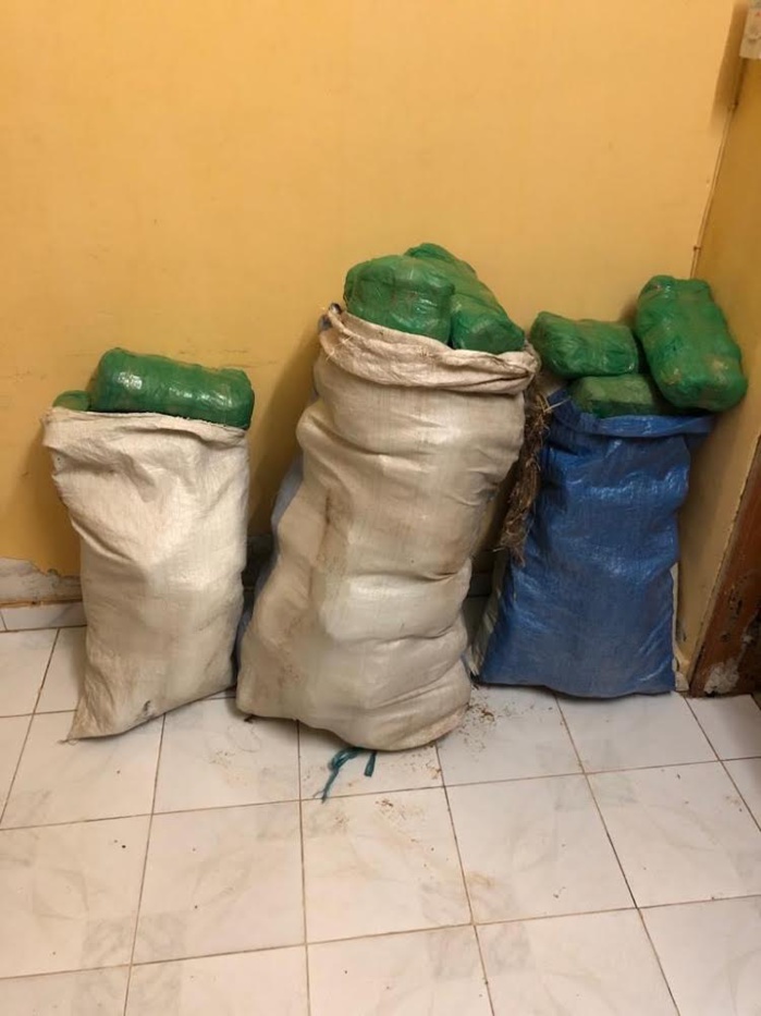 MBOBÈNE PEULH ET BABA GARAGE / 03 hommes arrêtés, 1 fugitif recherché, 02 armes à feu et 55 legs de chanvre saisis. MBOBÈNE PEULH ET BABA GARAGE / 03 hommes arrêtés, 1 fugitif recherché, 02 armes à feu et 55 legs de chanvre saisis.