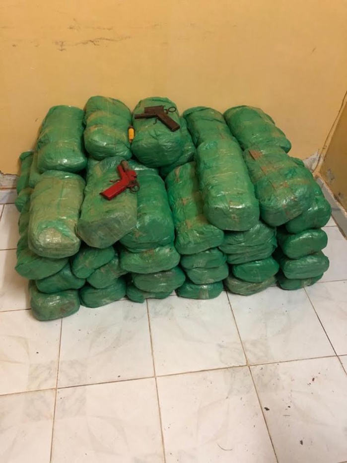 MBOBÈNE PEULH ET BABA GARAGE / 03 hommes arrêtés, 1 fugitif recherché, 02 armes à feu et 55 legs de chanvre saisis. MBOBÈNE PEULH ET BABA GARAGE / 03 hommes arrêtés, 1 fugitif recherché, 02 armes à feu et 55 legs de chanvre saisis.