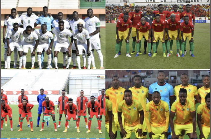 CAN 2022 : Que retenir des prochains adversaires des Lions ? CAN 2022 : Que retenir des prochains adversaires des Lions ?