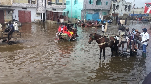 Inondations : Les populations de Diamaguène Diacksao crient leur désarroi et invite l'État trouver la solution