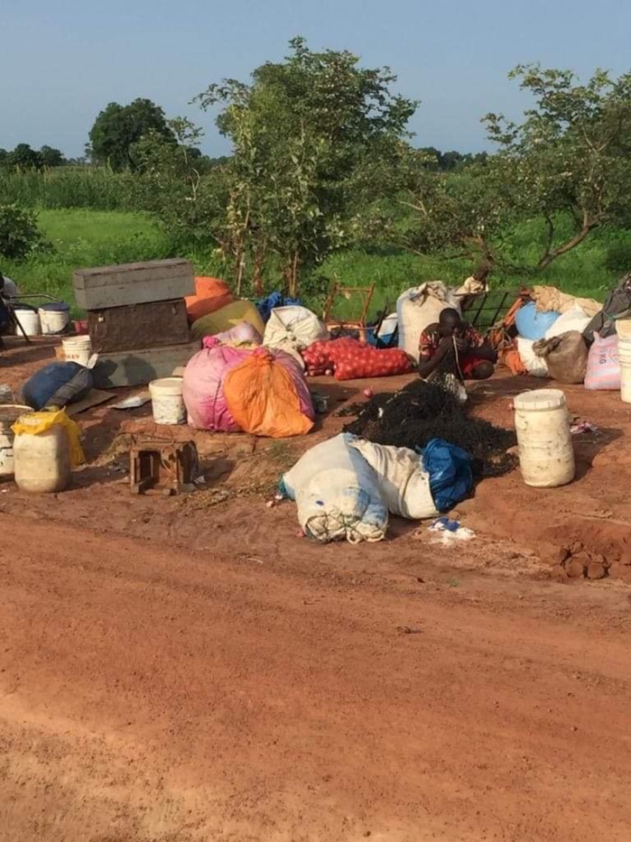 Koungheul / Un car se renverse sur la route de Lour Escale : Plusieurs blessés enregistrés dont 02 dans un état grave. Koungheul / Un car se renverse sur la route de Lour Escale : Plusieurs blessés enregistrés dont 02 dans un état grave.