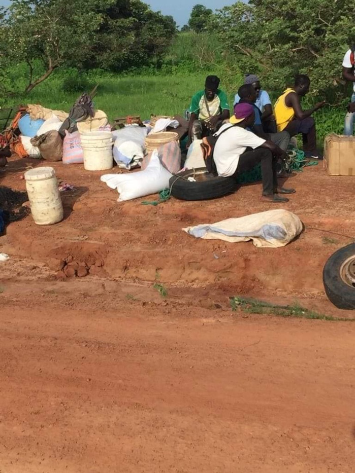 Koungheul / Un car se renverse sur la route de Lour Escale : Plusieurs blessés enregistrés dont 02 dans un état grave. Koungheul / Un car se renverse sur la route de Lour Escale : Plusieurs blessés enregistrés dont 02 dans un état grave.