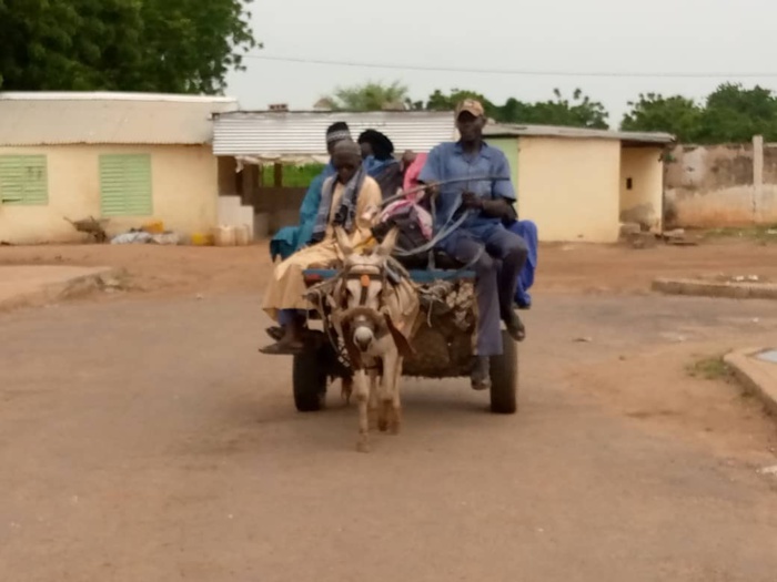 Magal 2021 : Les Kaffrinois rallient la ville sainte de Touba... Tous les moyens de transport mobilisés pour les besoins de l'événement (images). Magal 2021 : Les Kaffrinois rallient la ville sainte de Touba... Tous les moyens de transport mobilisés pour les besoins de l'événement (images).