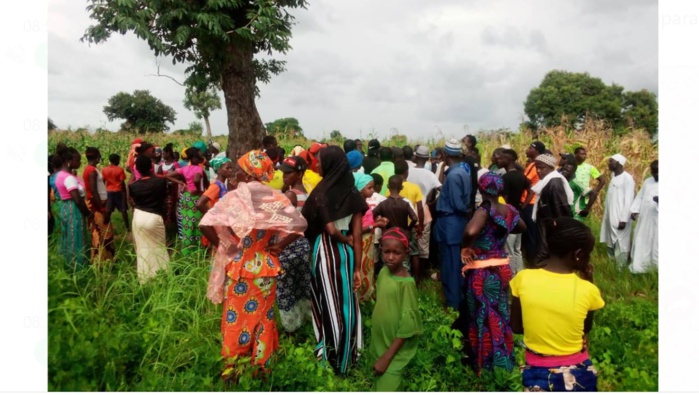 Octroi des 1000 ha de Pakour - les activistes en ordre de bataille, les vérités du maire et des proches du promoteur.