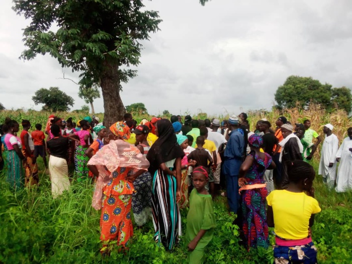Octroi des 1000 ha de Pakour - les activistes en ordre de bataille, les vérités du maire et des proches du promoteur. Octroi des 1000 ha de Pakour - les activistes en ordre de bataille, les vérités du maire et des proches du promoteur.