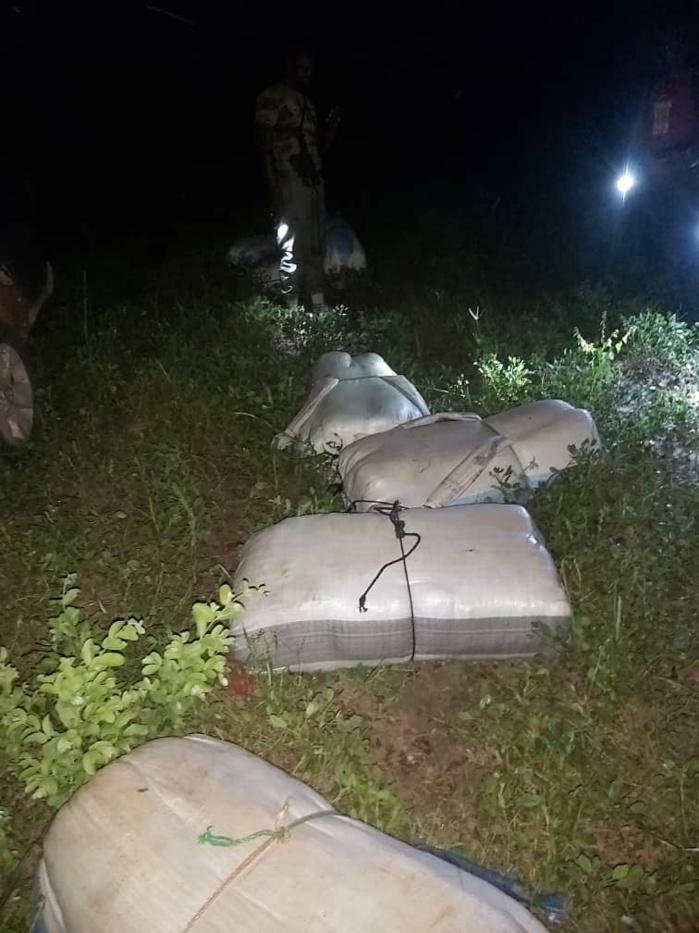 Douane : importante saisie de chanvre indien à Kaolack. Douane : importante saisie de chanvre indien à Kaolack.