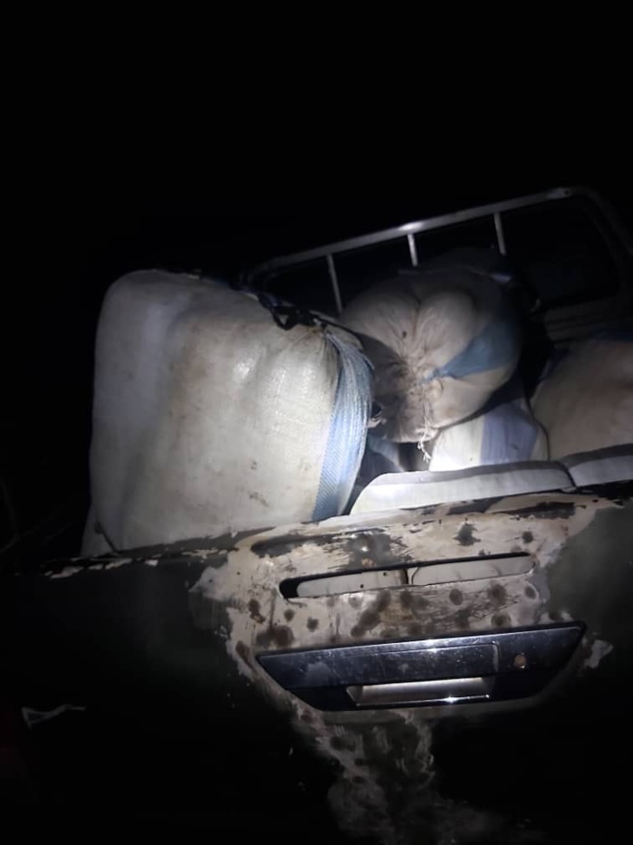 Douane : importante saisie de chanvre indien à Kaolack. Douane : importante saisie de chanvre indien à Kaolack.