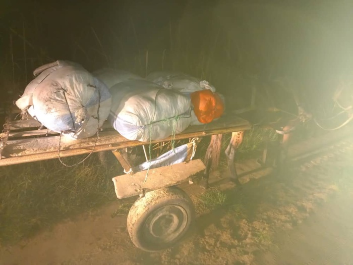 Douane : importante saisie de chanvre indien à Kaolack. Douane : importante saisie de chanvre indien à Kaolack.