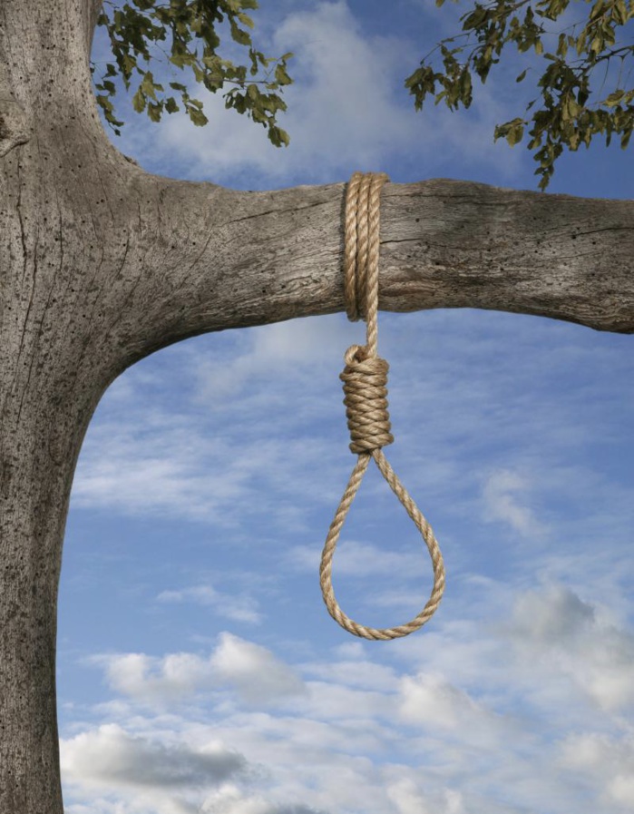 DRAME À JAXAAY : Un étudiant de 24 ans retrouvé pendu à un arbre. DRAME À JAXAAY : Un étudiant de 24 ans retrouvé pendu à un arbre.