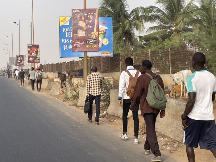 Grève des transports : Le rush des usagers à pied pour se rendre au travail. Grève des transports : Le rush des usagers à pied pour se rendre au travail.