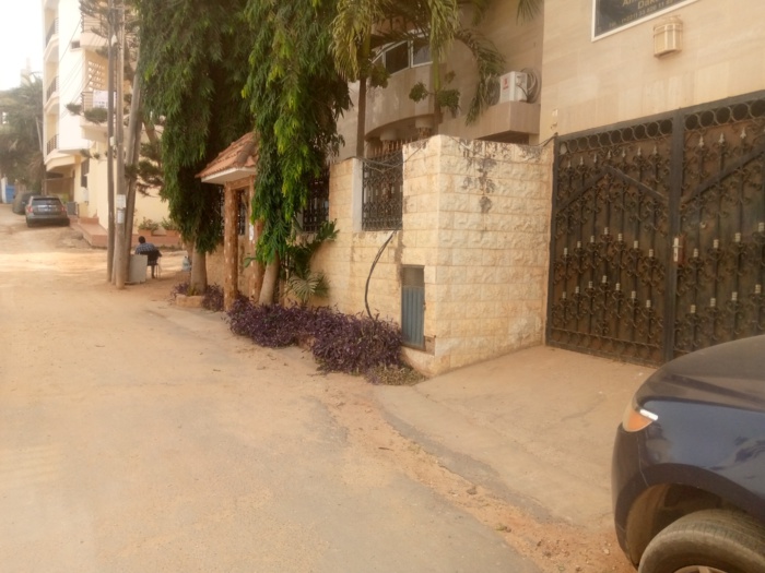 Élection présidentielle en Gambie : la Diaspora encore écartée. Élection présidentielle en Gambie : la Diaspora encore écartée.