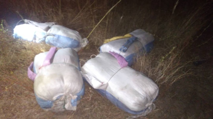 Porokhane / Keur Moussa : Saisie de 04 colis de chanvre indien d'une valeur de 32 millions de fcfa. Porokhane / Keur Moussa : Saisie de 04 colis de chanvre indien d'une valeur de 32 millions de fcfa.