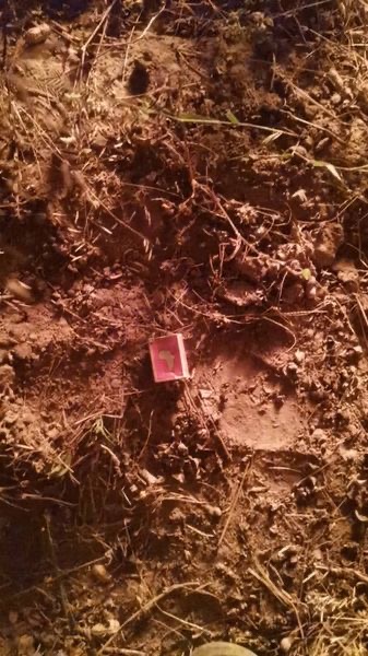 VÉLINGARA : incendies et vols de récoltes des producteurs. VÉLINGARA : incendies et vols de récoltes des producteurs.