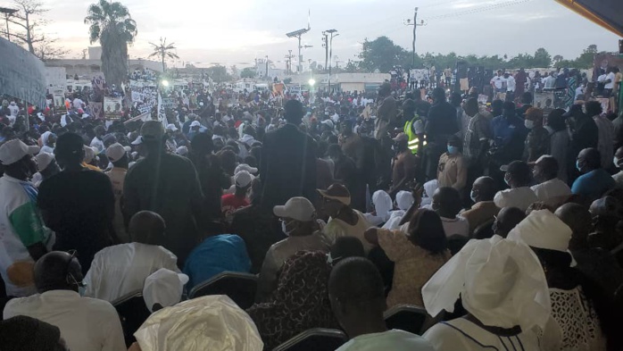 Campagne électorale : Meeting d' investiture et lancement du Ministre d'état, Dr Cheikh Kante , candidat à la Présidence du conseil Départemental de Fatick Campagne électorale : Meeting d' investiture et lancement du Ministre d'état, Dr Cheikh Kante , candidat à la Présidence du conseil Départemental de Fatick
