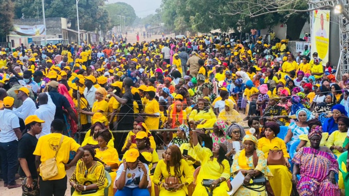 Locales- Kolda : marée jaune à Sikilo pour Mame Boye Diao Locales- Kolda : marée jaune à Sikilo pour Mame Boye Diao