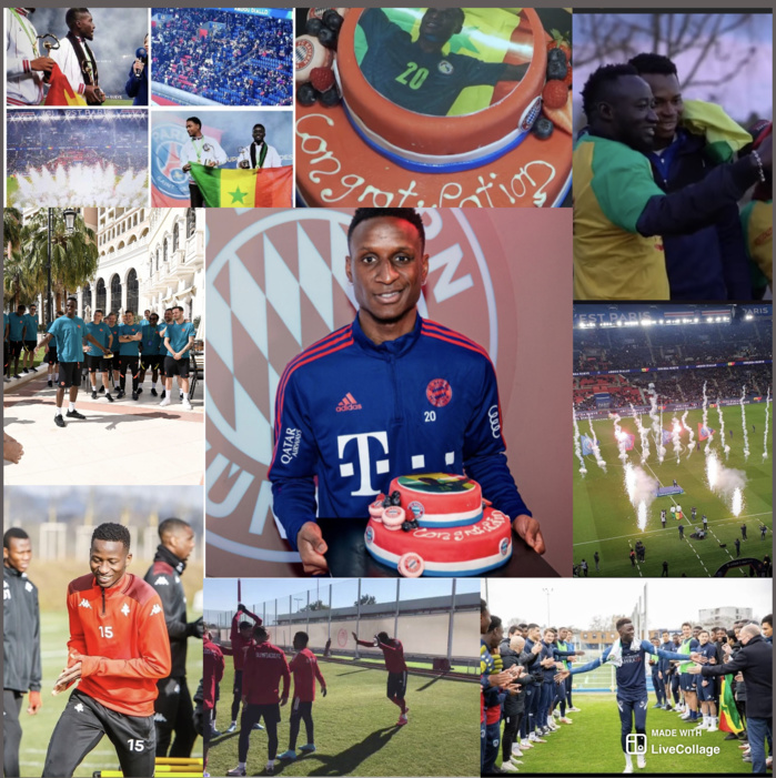 Retour en club : Des Lions accueillis en héros après leur titre continental Retour en club : Des Lions accueillis en héros après leur titre continental