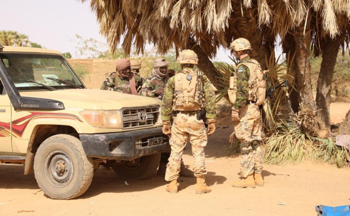 Mali: après la Suède et le Danemark, les forces de défense estoniennes (EDF) vont aussi se retirer