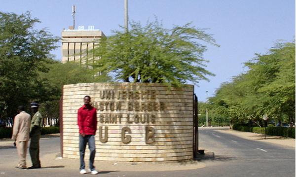 Saint-Louis : Un homosexuel lynché au campus de l’Ugb après avoir été piégé par un étudiant.