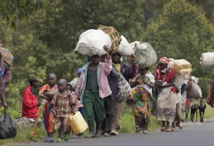 Combats en Casamance: plus de 6.000 déplacés et réfugiés en Gambie