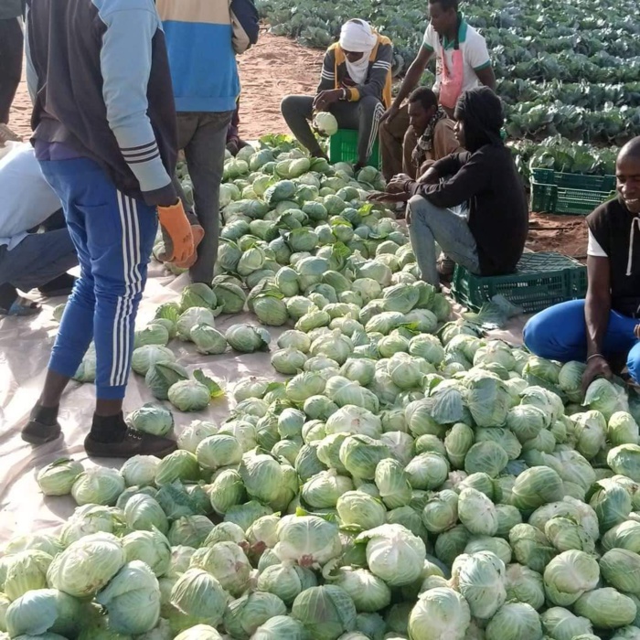 Dac de Keur Momar Sarr : 7 mois après, les fruits tiennent les promesses des fleurs (Photos) Dac de Keur Momar Sarr : 7 mois après, les fruits tiennent les promesses des fleurs (Photos)