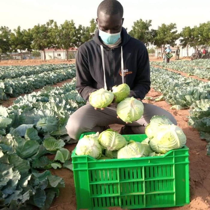 Dac de Keur Momar Sarr : 7 mois après, les fruits tiennent les promesses des fleurs (Photos) Dac de Keur Momar Sarr : 7 mois après, les fruits tiennent les promesses des fleurs (Photos)