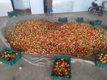 Dac de Keur Momar Sarr : 7 mois après, les fruits tiennent les promesses des fleurs (Photos)
