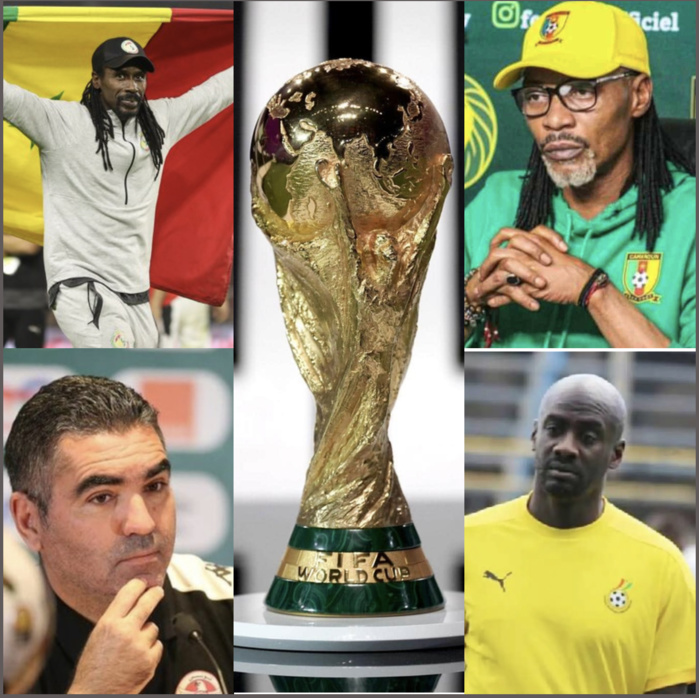 Coupe du monde Qatar 2022 : L’Afrique avec un très net penchant pour des techniciens locaux. Coupe du monde Qatar 2022 : L’Afrique avec un très net penchant pour des techniciens locaux.