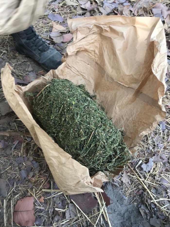 Casamance : une dizaine de sacs de chanvre saisis auprès du MFDC