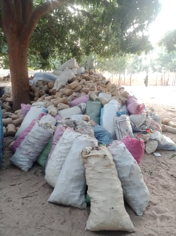 Démantèlement des bases du Mfdc par l’armée : Les images des bases de Niombolong et Médiadia. Démantèlement des bases du Mfdc par l’armée : Les images des bases de Niombolong et Médiadia.