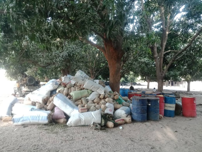 Démantèlement des bases du Mfdc par l’armée : Les images des bases de Niombolong et Médiadia. Démantèlement des bases du Mfdc par l’armée : Les images des bases de Niombolong et Médiadia.