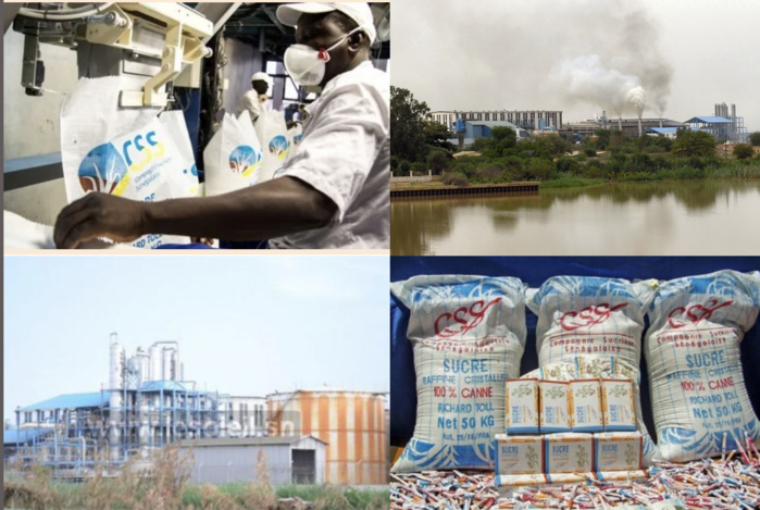 Économie : Gloire et déboires de la Compagnie Sucrière Sénégalaise, de sa création à nos jours.