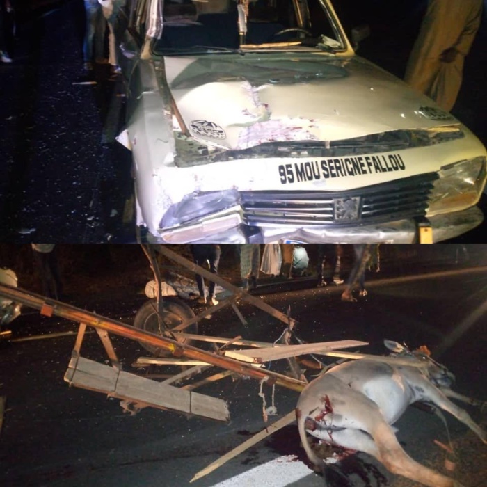 (IMAGES) Accident sur la route de Ndoyène / Une collision entre un « 7 places » et une charrette fait un mort.