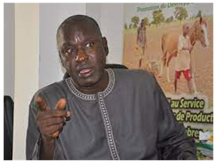 Affaire de la liste de « Yaw Dakar » : Saliou Sarr nie toute implication et agite une plainte contre ses accusateurs Affaire de la liste de « Yaw Dakar » : Saliou Sarr nie toute implication et agite une plainte contre ses accusateurs