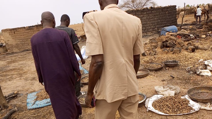 Koungheul : le village de Touba Bogo décimé par un incendie. Koungheul : le village de Touba Bogo décimé par un incendie.