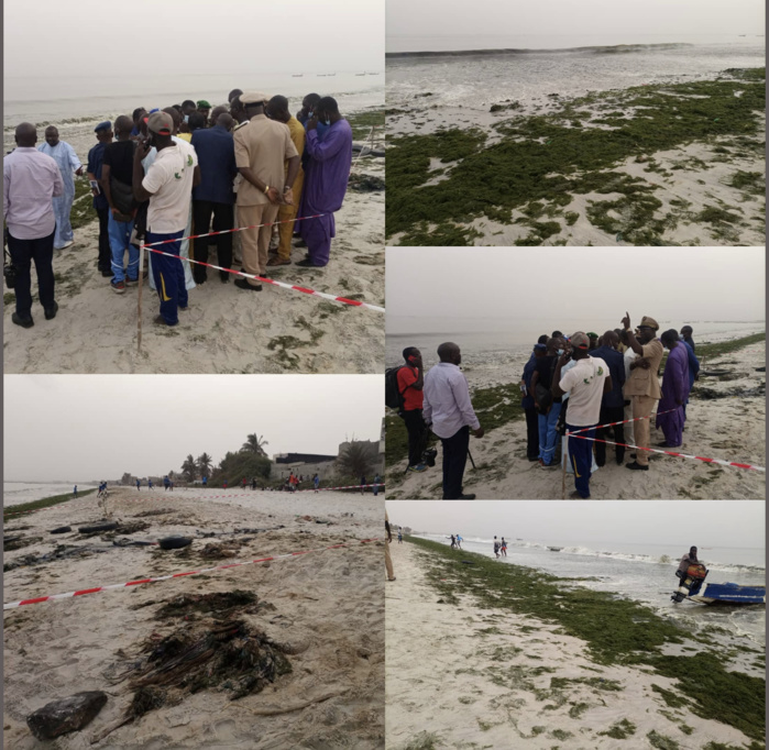 Thiaroye sur mer / Catastrophe écologique : « Les causes ne sont pas encore connues » (Ministre) Thiaroye sur mer / Catastrophe écologique : « Les causes ne sont pas encore connues » (Ministre)