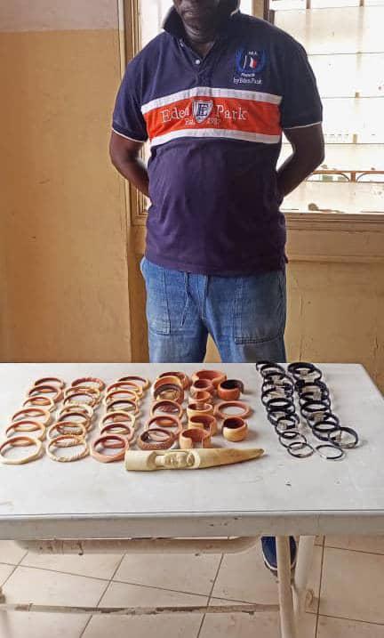 CRIMINALITÉ FAUNIQUE : un présumé trafiquant d'ivoire interpellé sur la voie publique