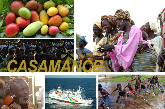 Les enjeux de développement que posent le PDEC et le PSE pour la Casamance