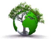 Célébration de la Journée mondiale de la terre : Le Président Macky Sall procède à la plantation d’arbres au Palais