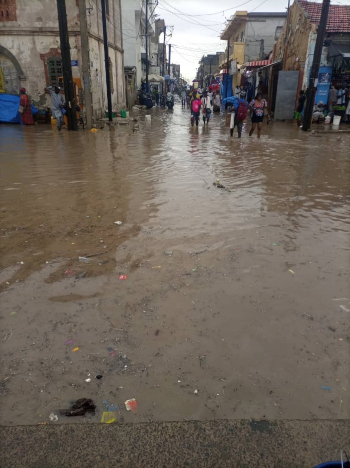 Fortes pluies sur Rufisque : la vieille sous les eaux (Images)