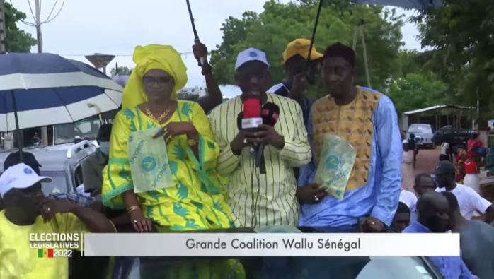 Sédhiou-Bounkiling : L’appel de la grande coalition Wallu Sénégal à la jeunesse pour la préservation de la paix et des ressources forestières.