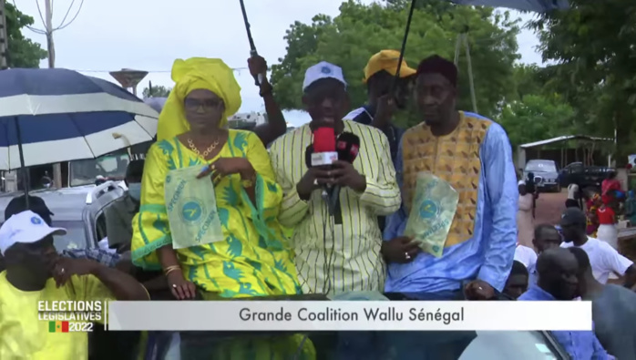 Sédhiou-Bounkiling : L’appel de la grande coalition Wallu Sénégal à la jeunesse pour la préservation de la paix et des ressources forestières. Sédhiou-Bounkiling : L’appel de la grande coalition Wallu Sénégal à la jeunesse pour la préservation de la paix et des ressources forestières.