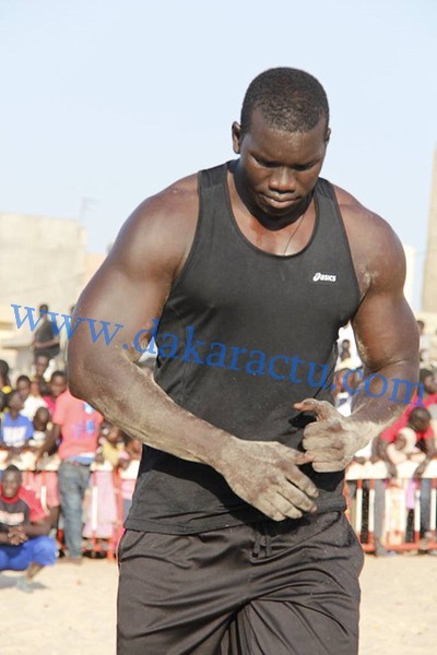 OPEN PRESS - Malick Niang sur son combat du 1er juin prochain : «Ce serait une honte de perdre face à un danseur comme Ama Baldé»