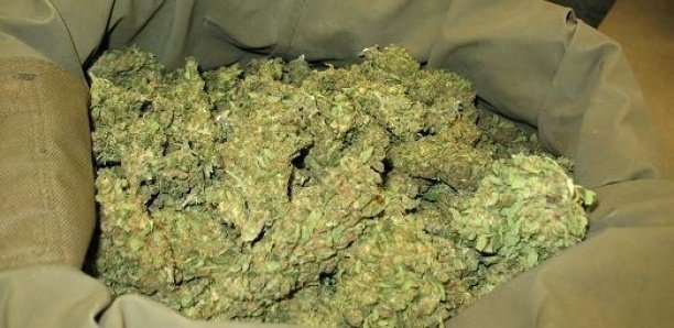 Détention de chanvre indien : pour 10 cornets, S. S. Ka prend un mois ferme.