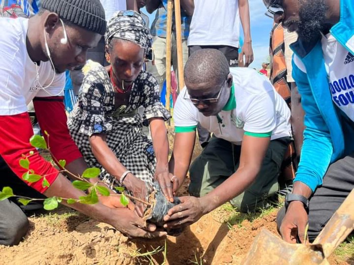 Ndouloumadji/Campagne de reboisement : le DG de l'ASERGMV a planté symboliquement "l'arbre du chef de l'État"