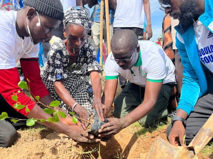 Ndouloumadji/Campagne de reboisement : le DG de l'ASERGMV a planté symboliquement "l'arbre du chef de l'État" Ndouloumadji/Campagne de reboisement : le DG de l'ASERGMV a planté symboliquement "l'arbre du chef de l'État"
