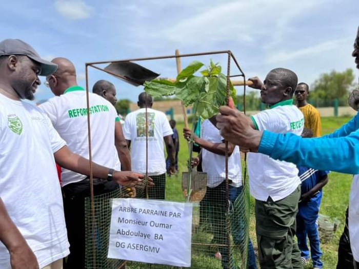 Ndouloumadji/Campagne de reboisement : le DG de l'ASERGMV a planté symboliquement "l'arbre du chef de l'État" Ndouloumadji/Campagne de reboisement : le DG de l'ASERGMV a planté symboliquement "l'arbre du chef de l'État"